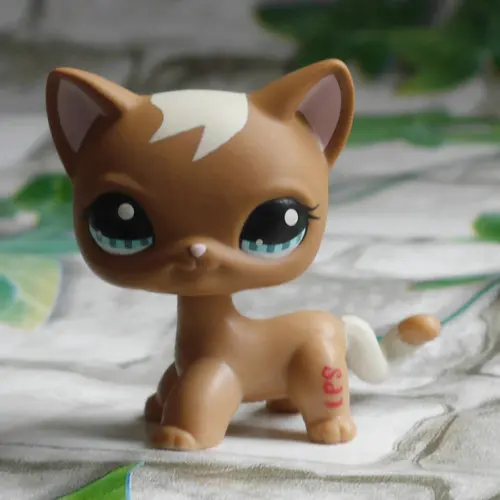 

IN HAND ORIGINAL COOKIE BROWN CAT KITTY blue eyes FIGURE TOY DOLL 2" MINI COLLECTION HTF #1170