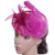 HT1774 High Quality Rose Flower Formal Fedoras Women Elegant Fascinator Yarn Mesh Feather Hair Clips Vintage Ladies Wedding Hats 9