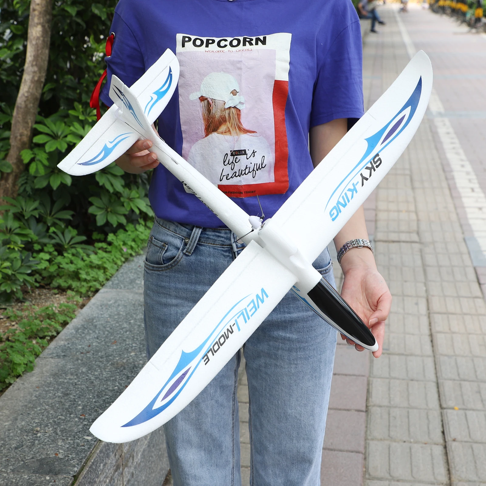 WLtoys Fixed Wing Rc Planes Remote Control Airplanes F959 Wingspan Glider Toy Planes