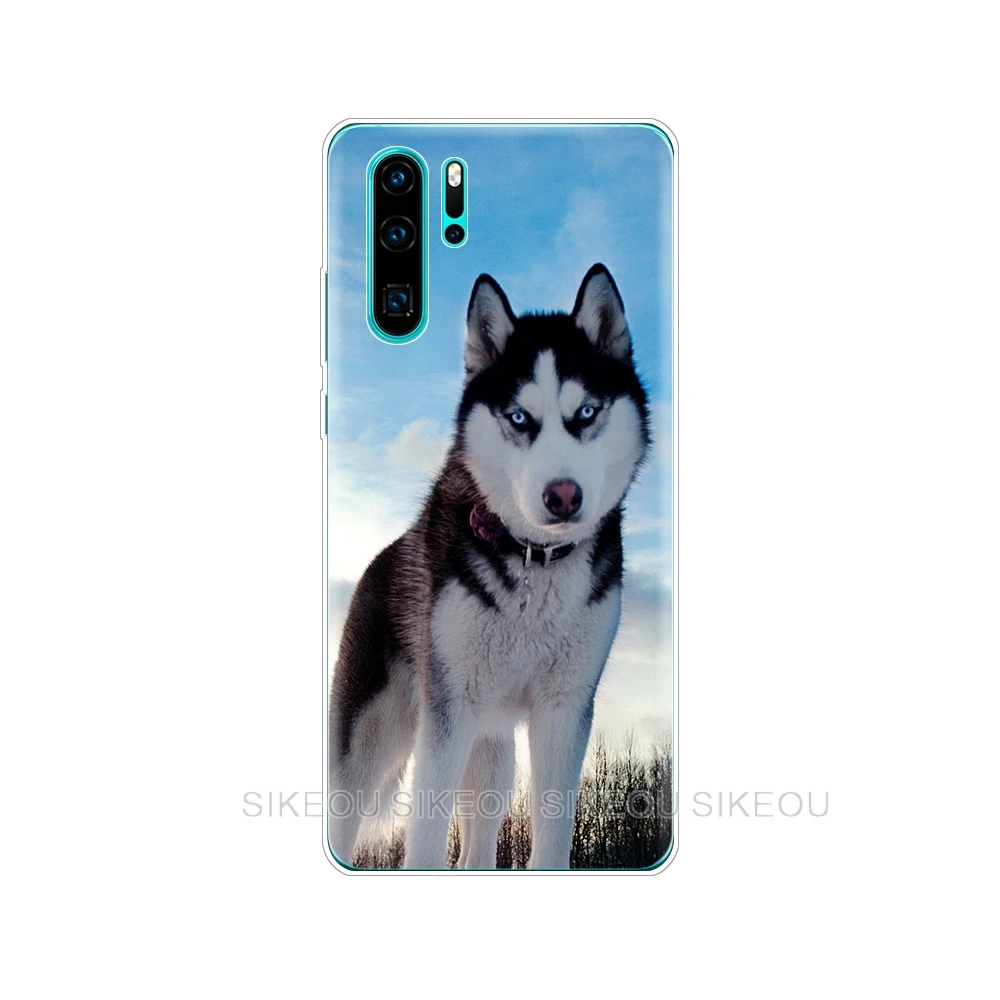 Чехол s для huawei P30 Pro Чехол huawei P30Pro силиконовый чехол ТПУ задняя крышка для телефона на huawei P30 Pro VOG-L29 ELE-L29 P 30 Lite чехол - Цвет: 33650