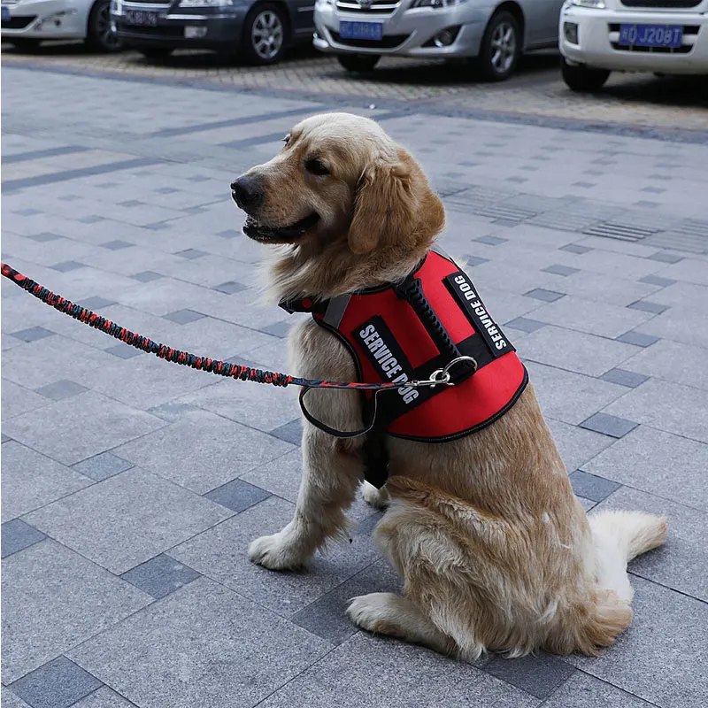 Pet жилет для собачьей упряжки светоотражающая лента дышащая сетка Регулируемая безопасная Ночная ходьба обучение для больших и средних собак животных