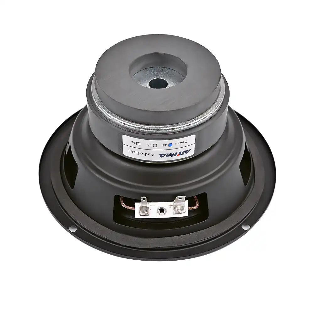 100w 80hm 25cm subwoofer speaker