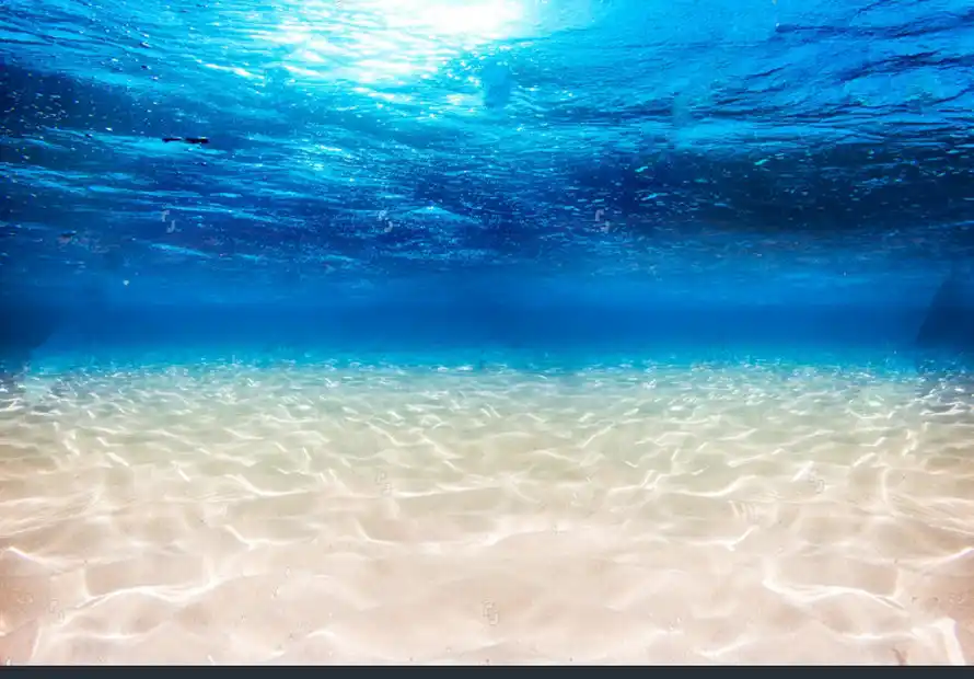 Under The Sea Underwater Blue Ocean Wide Panorama Backgrounds Vinyl Cloth High Quality Computer Print Wall Backdrop Background Aliexpress