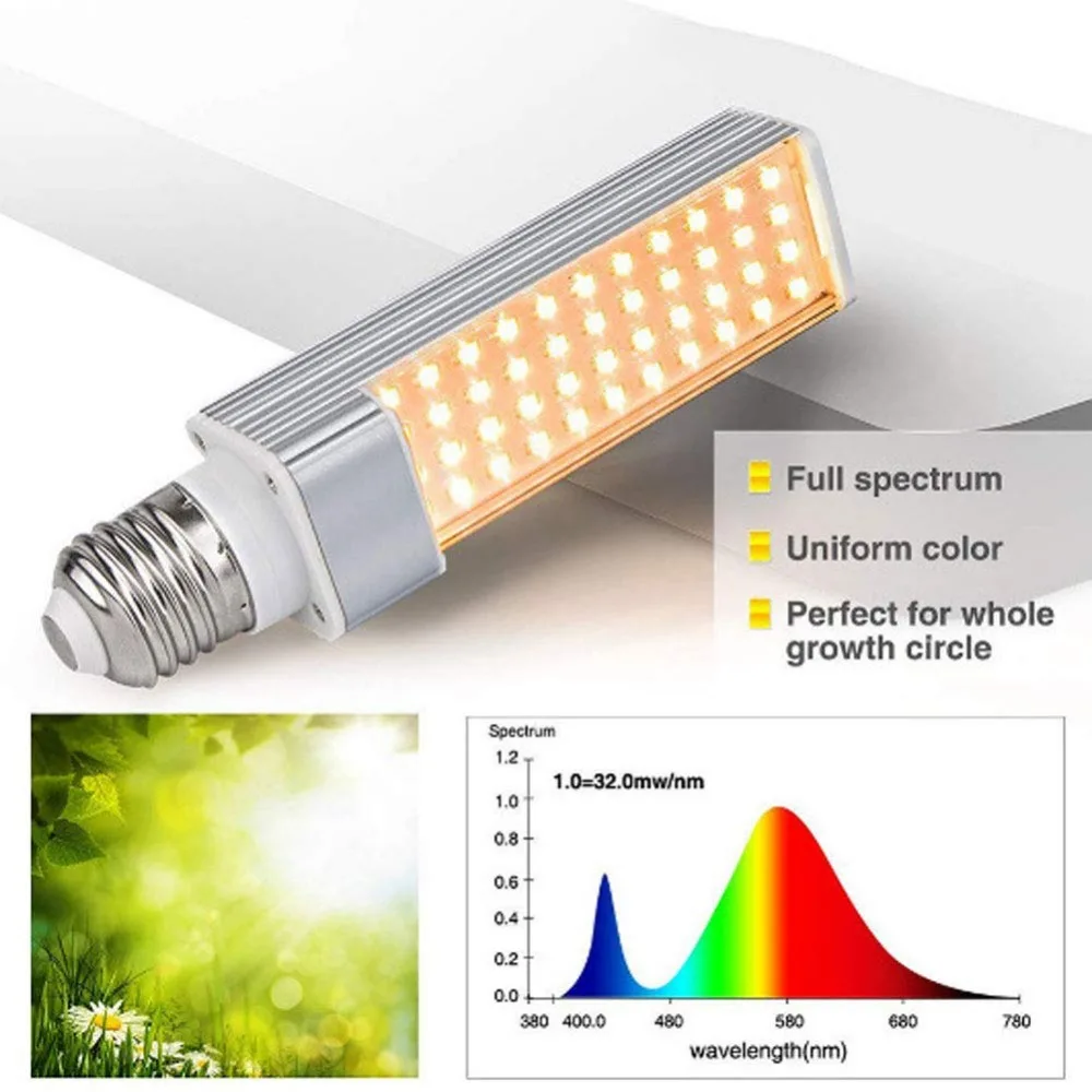 617UUkeT9sL._SL1001_