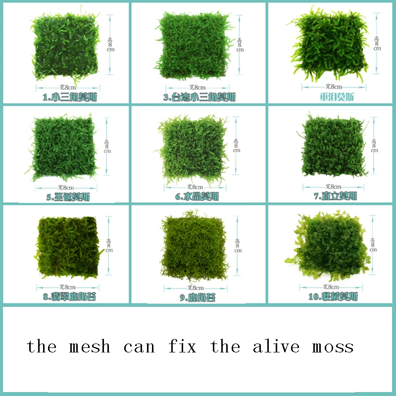 Аквариум живой мох растение сетка 3,8x3,8 дюйма 304 Нержавеющая Стел проволочная сетка для мхов аквариумные растения
