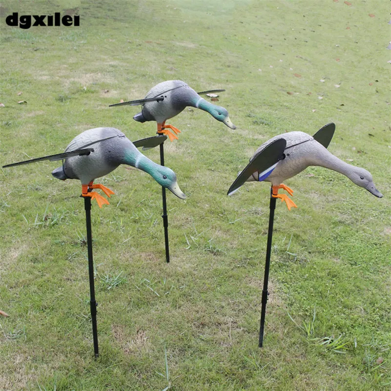 Hunting Duck (123)