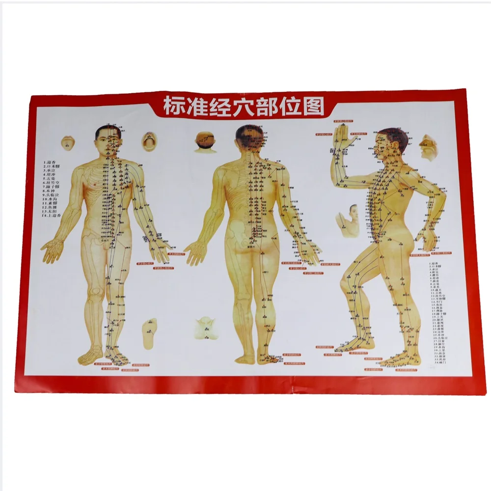 Athphy 12 шт. вакуумные банки китайский физический массажер банки чашка для терапии Лидер продаж массаж тела антицеллюлитные чашки массажер для спины