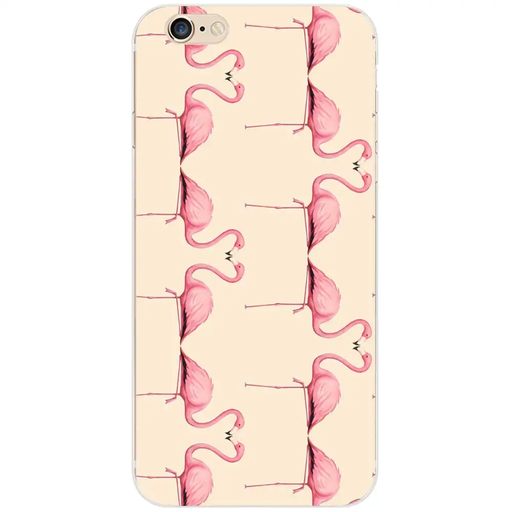 flamingos6