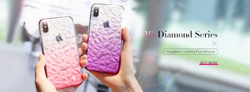 case (2)