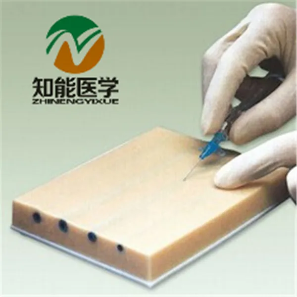 BIX-HS15-1 LV Linjection Practice Pad (With 4 Blood Vessels) G115 BIX-HS15-1 LV Linjection Practice Pad (With 4 Blood Vessels) G115