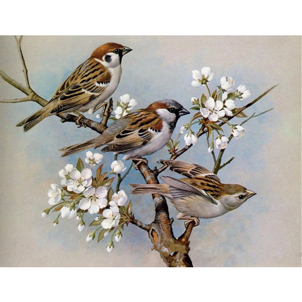 Животные Sparrow Алмазная вышивка цветы алмазная картина крестиком полностью