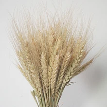 100 шт. сушеные цветы натуральные воздушные сушеные пшеничные уши Пшеница сельский дом стиль украшение дома ваза украшение дома