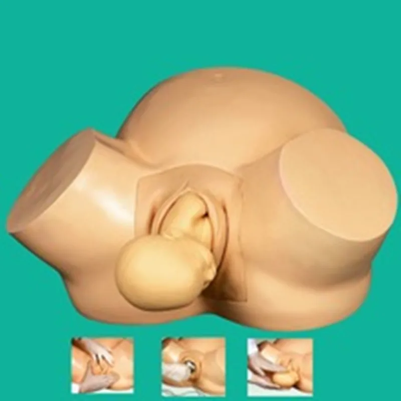 

Midwifery Training Simulator,Advanced Vacuum Delivery Simulator,accouchement model