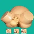 Midwifery Training Simulator Erweiterte Vakuum Lieferung Simulator accouchement modell