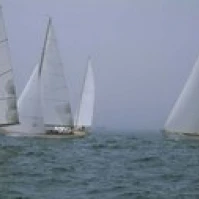 Sailboats at regatta  Newport  Rhode Island  USA Poster Print (18 x 7)