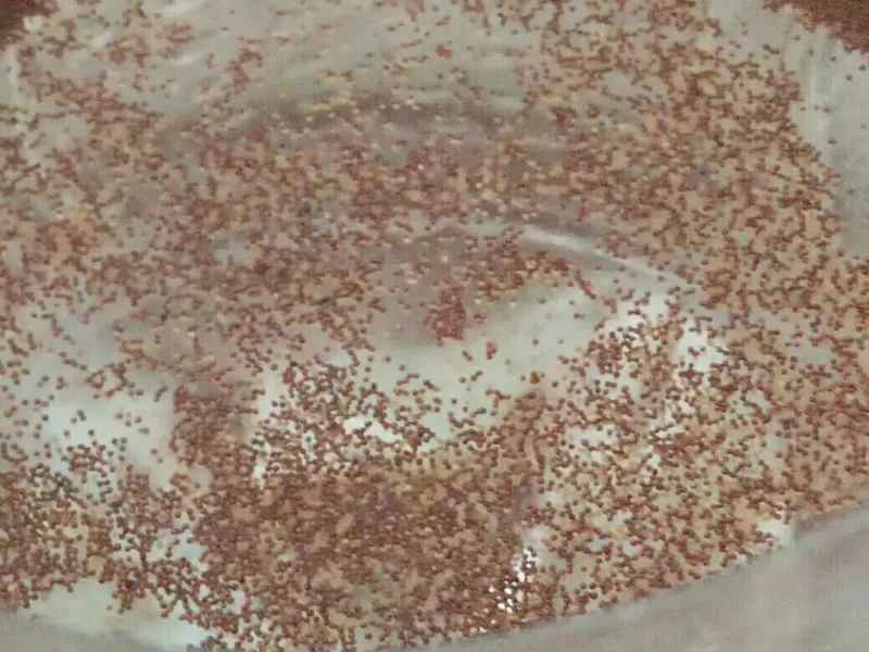 200 г топор цисты артемии герметичный пакет новое производство морская вода для креветок большие красные яйца для аквариума рыба-бак новорожденная рыба