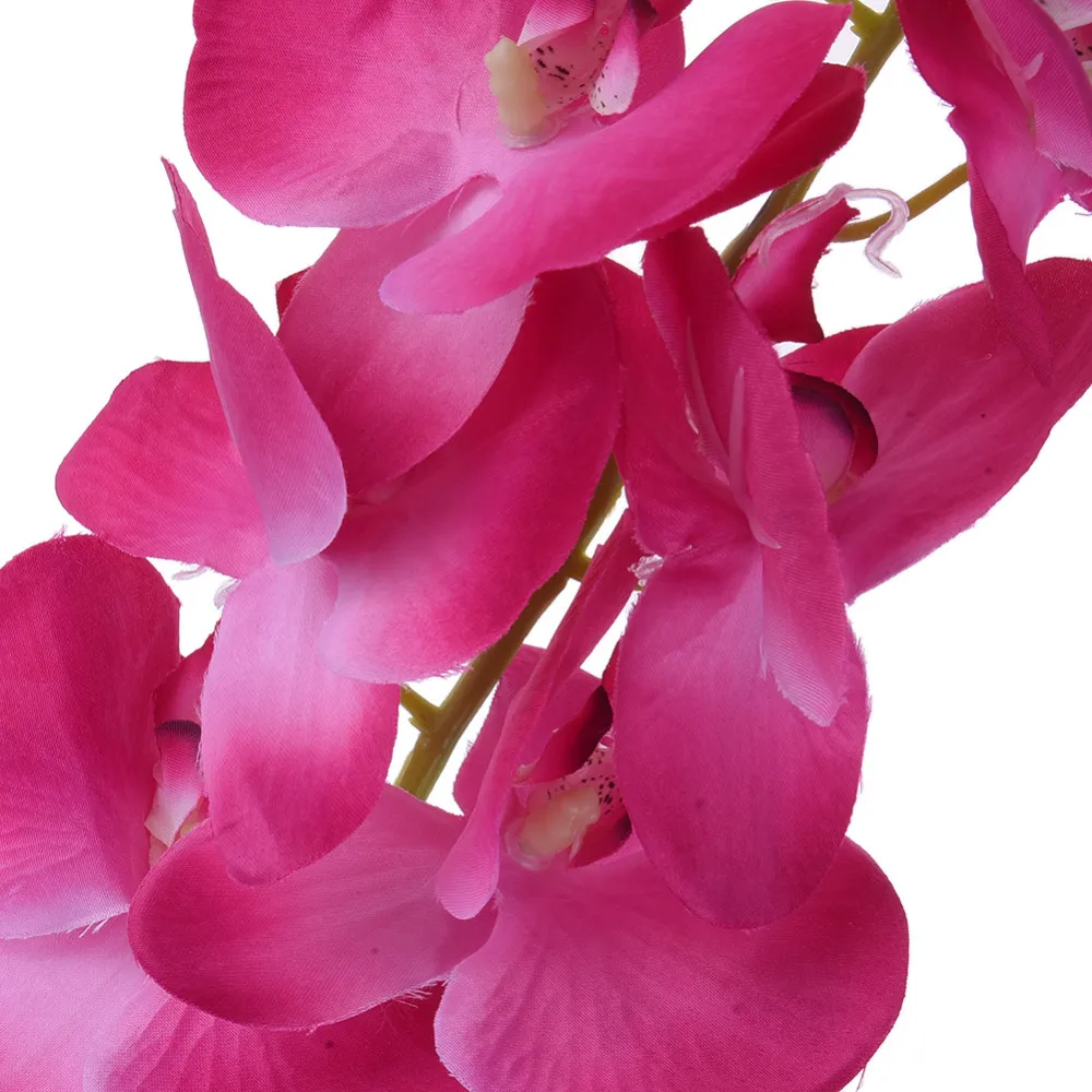 ZS313Hotpink (3)