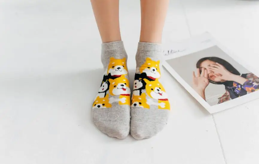 QQ20190426095506