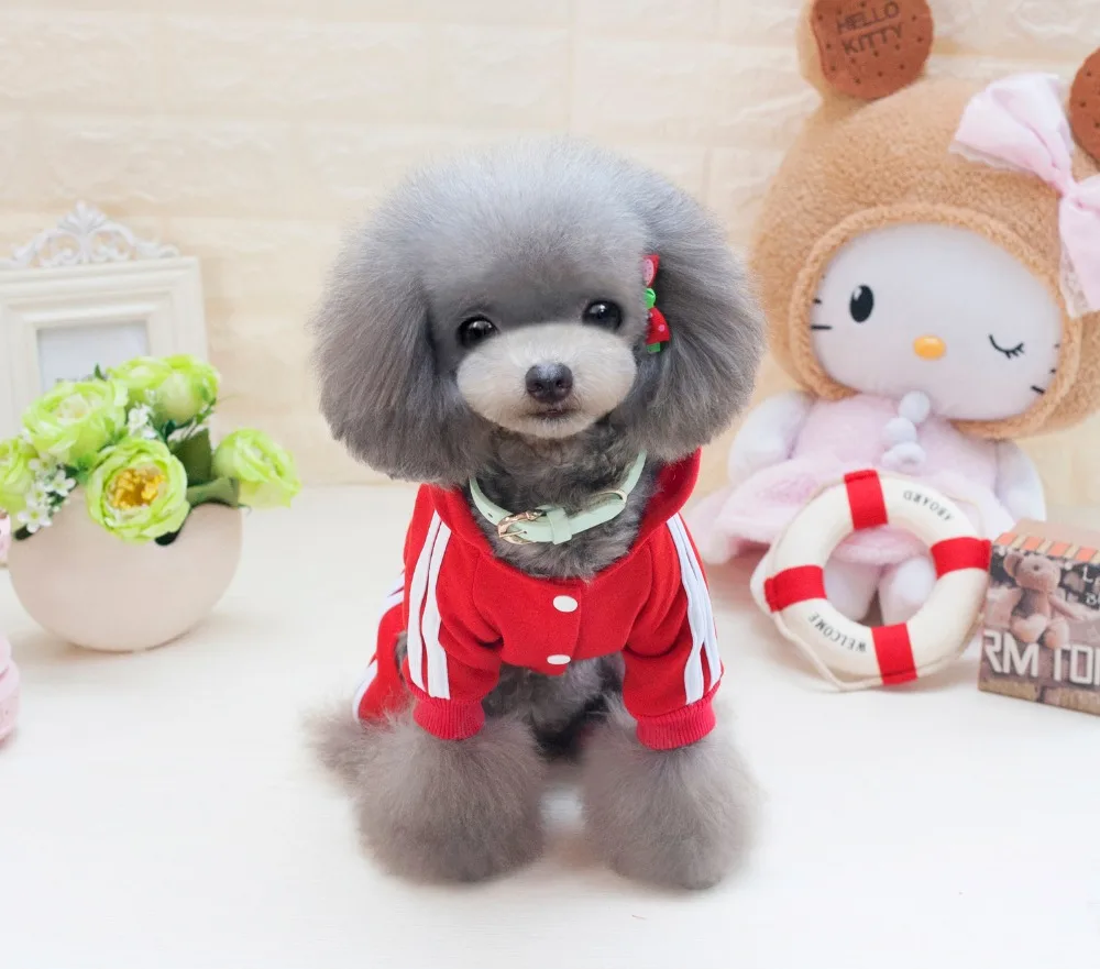 Y73_New_Pet_Cat_Dog_Costume_Clothes_Cartoon_Bear_Puppy_dog_4_Legs_Jumpsuits_Autumn_Pet_Hoodie_Rompers_Coat_Clothing_ (7)