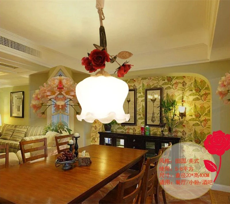 Pendant light  (6)