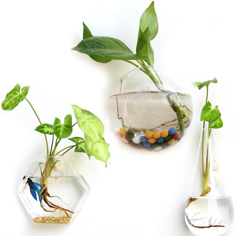 Online Get Cheap Terrarium Containers -Aliexpress.com Alibaba Group Creative Glass Flower Planter Vase Terrarium Container Garden Wall Decor(China) - Online Get Cheap Terrarium Containers -Aliexpress.com Alibaba Group
