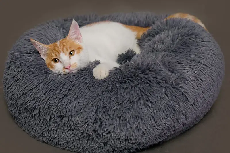 QQQPET круглая кровать для кошки длинный флеш домик для питомца супер мягкая кровать коврик для маленького питомца кошка зимнее теплое кошачье гнездо спальная кровать