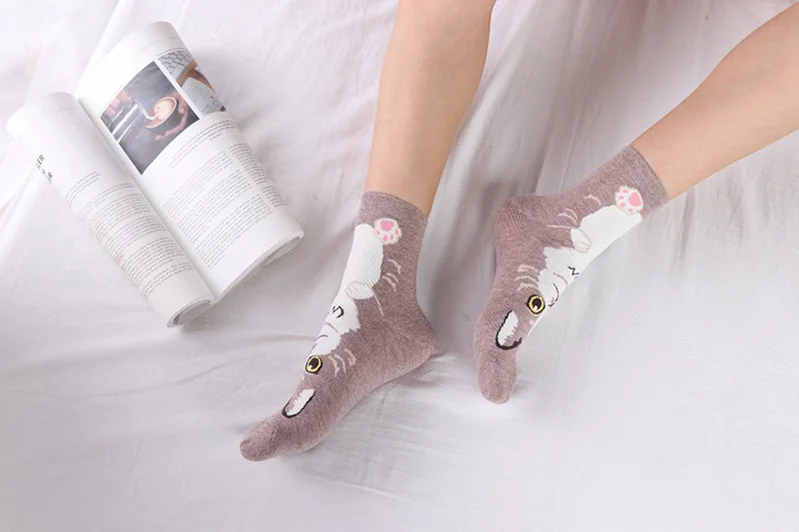 5 пар, женские носки, новинка, Харадзюку, Хлопковые женские носки s Cat Face, милые, свежие, модные, формирующие индивидуальность, весенние женские носки