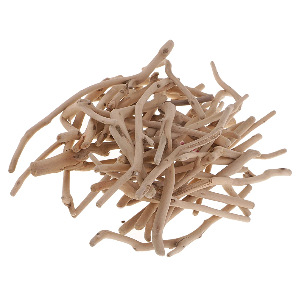  375g Driftwood Northumbrian Coastline Display Arts and Craft DIY Woodworking Projects Rustic Weddin