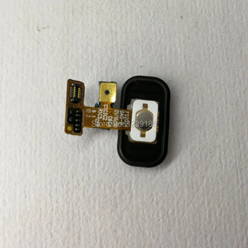 ZC521TL.2