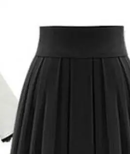 Европейская станция летняя новая модная юбка Феи темперамент элегантная длинная шифоновая плиссированная юбка - Цвет: Черный