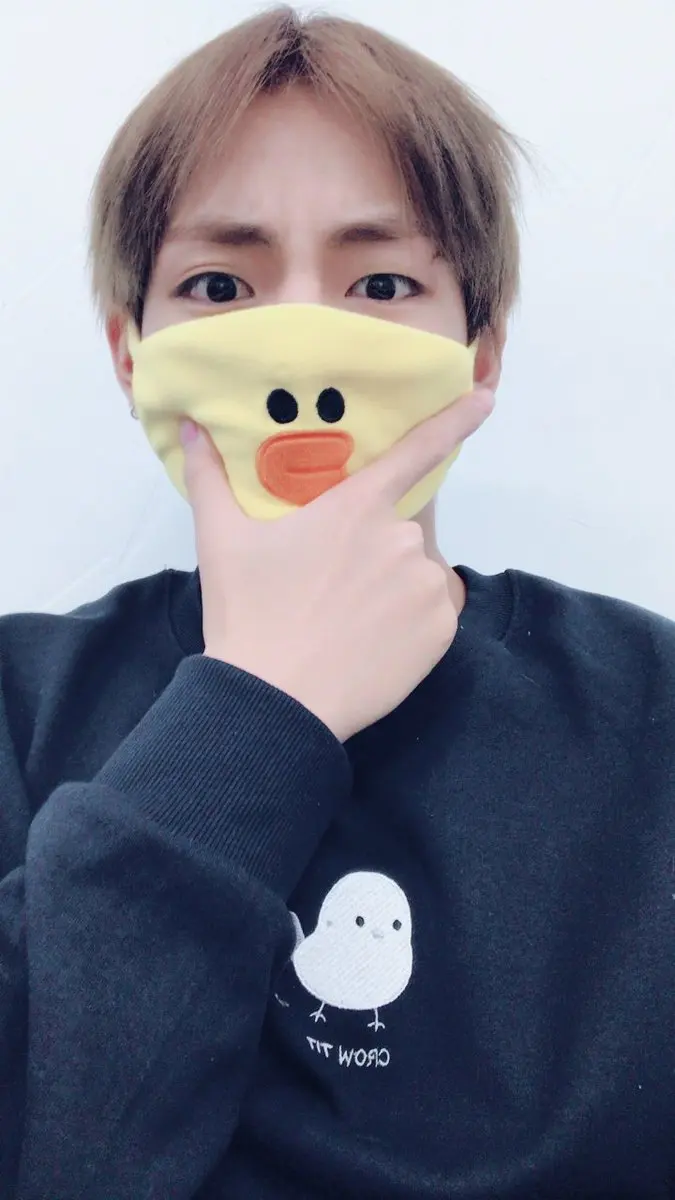 Kpoppts/JUNG KOOK с тем же пунктом цыпленок Салли/коричневый медведь маска маленькая