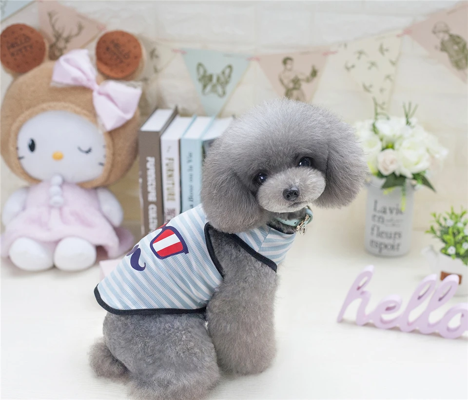 Summer Dog Clothes Clothing for Dogs Chihuahua S M L XL XXL Pet Clothes Vest T Shirt for Small Dog Costume Eye Beard Pattern (10)