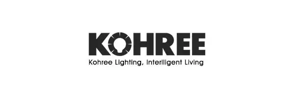 Kohree светодиодная гирлянда с вилкой США 12m120leds, сказочные огни, серебряная проволока для рождества, праздника, уличного декора, 16 разных цветов