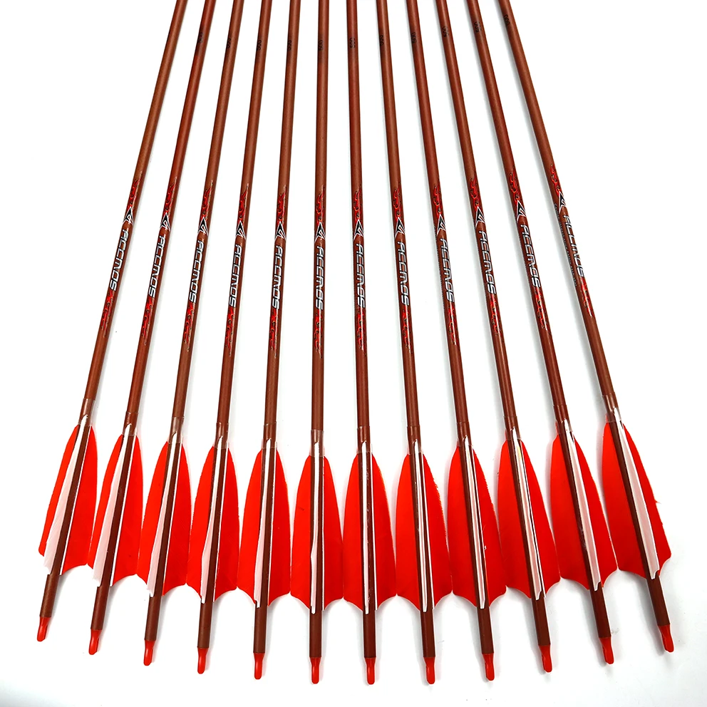 

12pcs wood skin Carbon Arrow spine 500 with 4inches Turkey Feather Real Feather Arrows for Compound Traditional bow Hunting
