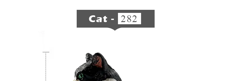 -8--MY6221_11
