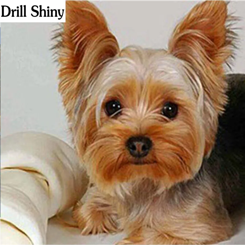 

Diamond Embroidery,Animal,Yorkshire Terrier Dog Diamond Painting,Cross Stitch,Diamond Mosaic,Needlework,Crafts,Christmas v97
