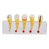 Endodontic pathological model pathology Patient communication model Endodontic treatment Posterior Teeth Dental Pulp Restoration ► Photo 2/6