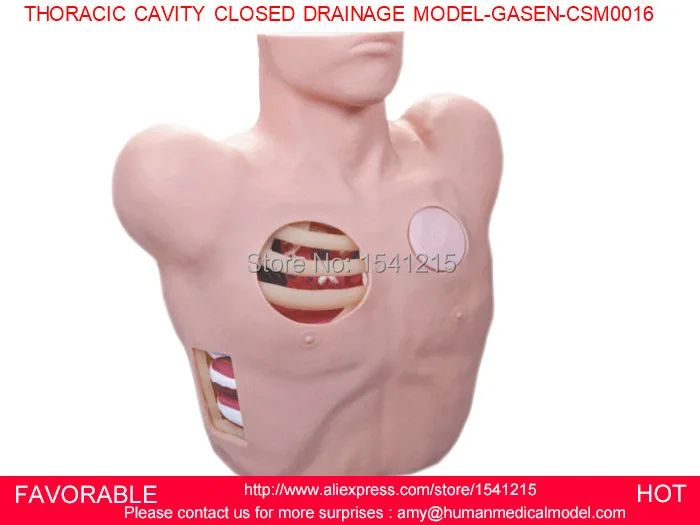 

MEDICAL TRAINING MANIKINS TRAINING SIMULATORS MEDICAL TRAINING SIMULATORS THORACIC CAVITY CLOSED DRAINAGE MODEL-GASEN-CSM0016