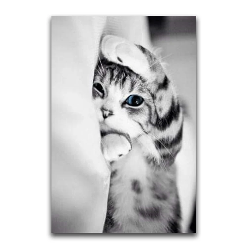 5D DIY Diamond painting animal Full Square Diamond mosaic Cat Full Round Diamond embroidery Cross stitch Sleeping kitten