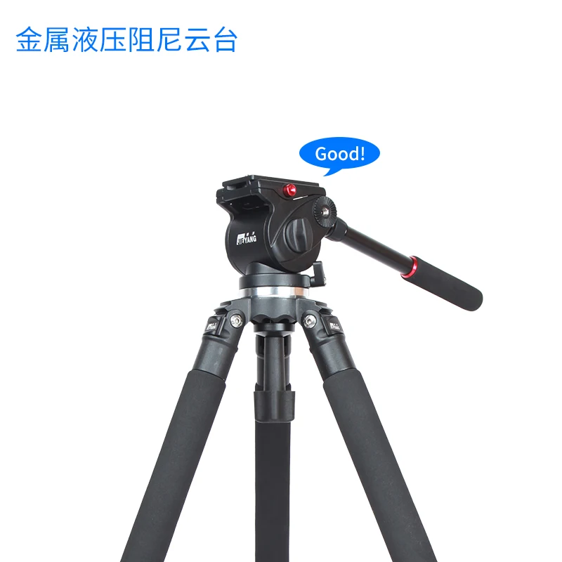 Jieyang tripod JY0509A professional camera SLR hydraulic damping bird 65mm bowl head