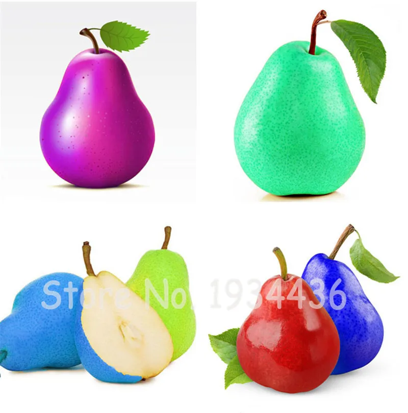 50 Pcs Exotic Original Pear Bonsai Fruit Rare Garden Plant For Flower Pot Planters Bonsai Tree Quality Seedsplants Fruit Potted 50 Pcs Exotic Original Pear Bonsai Fruit Rare Garden Plant For Flower Pot Planters Bonsai Tree Quality Seedsplants Fruit Potted