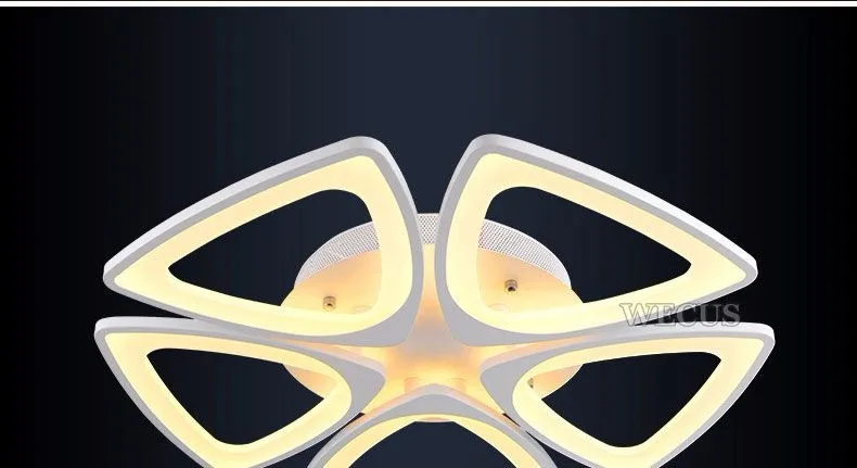 Ceiling lamp-01 (16)