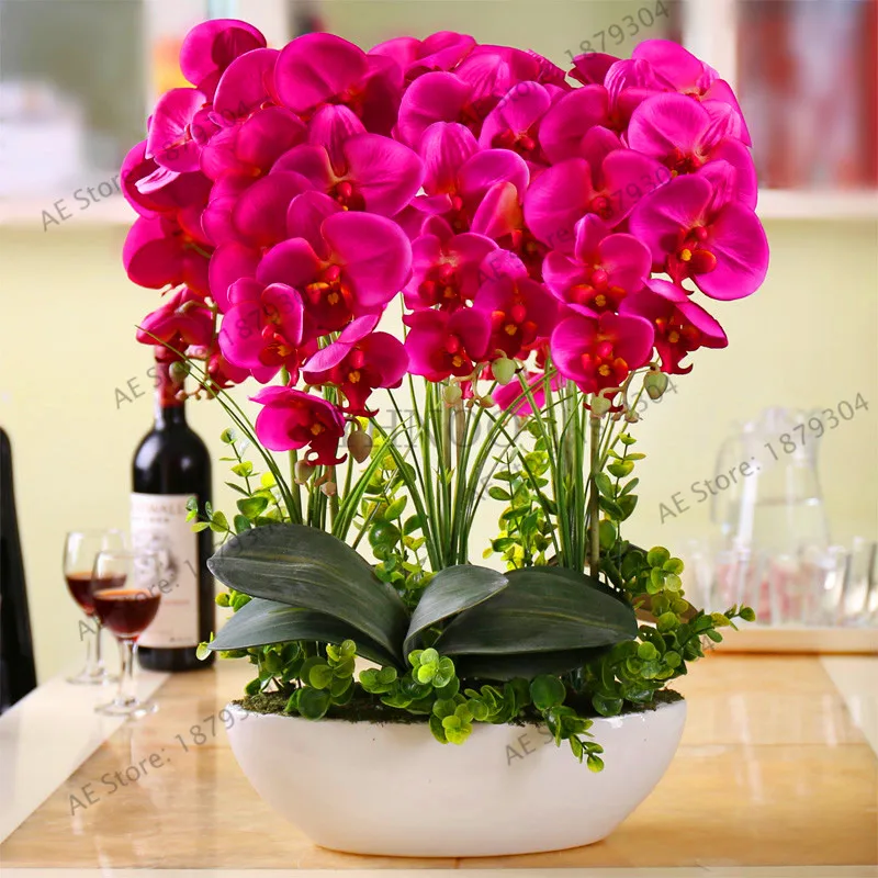 Подлинный! 20 шт. Орхидея Флорес фаленопсис плантас многолетний цветок Плант легко выращивать дома садовые растения бонсай цветы,# L8T53U