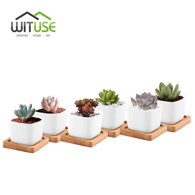 Wituse Mini Square Ceramic Flower Pots Succulent Planters With Wituse Mini Square Ceramic Flower Pots Succulent Planters With Bamboo Tray Home Decor Modern Decorative Small