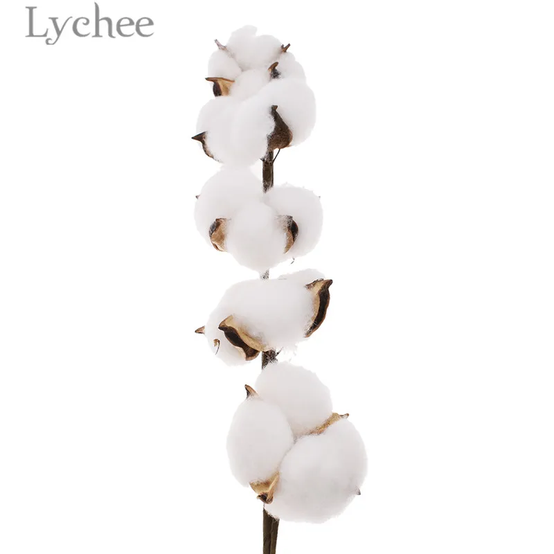 Личи жизни натуральный белый хлопок филиал Сушеные цветок глава DIY Свадебная вечеринка украшения дома