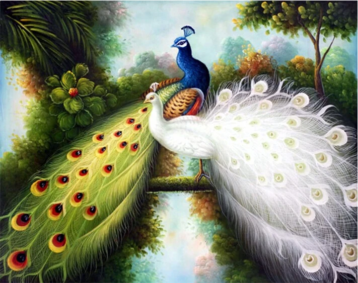 530+ Gambar Burung Merak Indah Terbaik