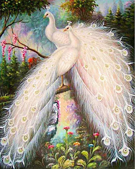 5D-Diy-Diamond-Painting-Cross-stitch-White-Peacocks-Full-Square-Round-Diamond-Embroidery-Needlework-Rhinestone-Mosaic.jpg_640x640