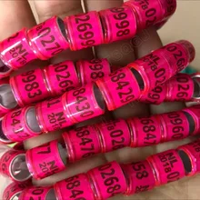 Кольцо с красным голубем NL Bird