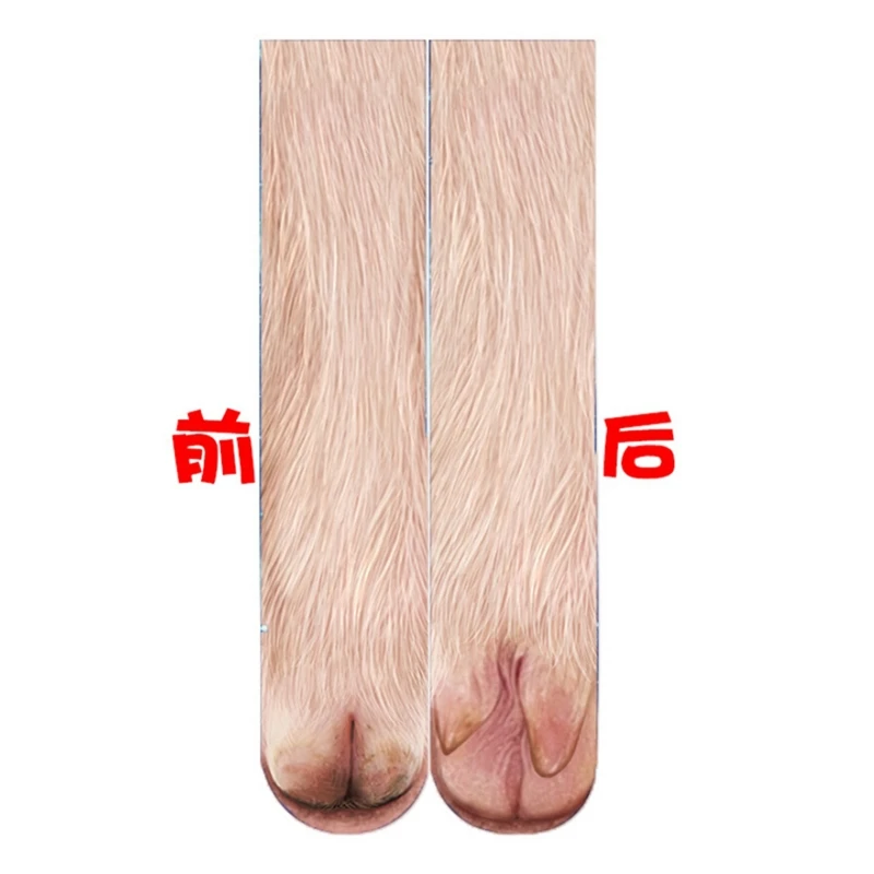 TA811247