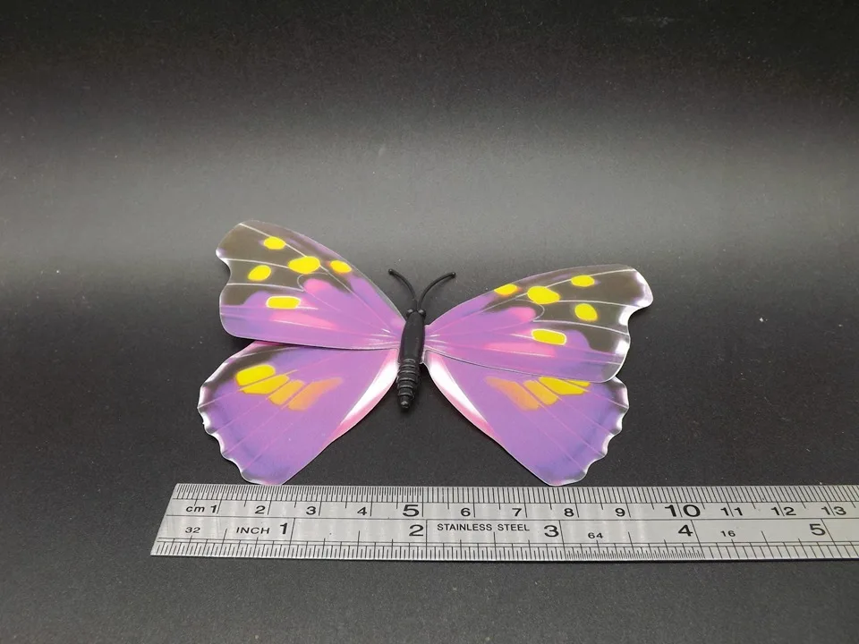 I241-Butterfly (9)